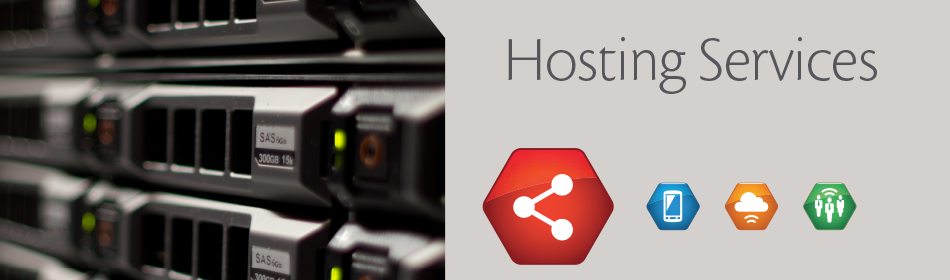 Hosting-Service950x350pxls